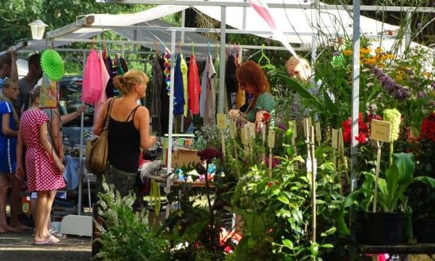 Zomermarkt Gees afgelast vanwege hitte