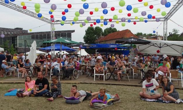 Festival op Weeshuisweide valt zeer in de smaak