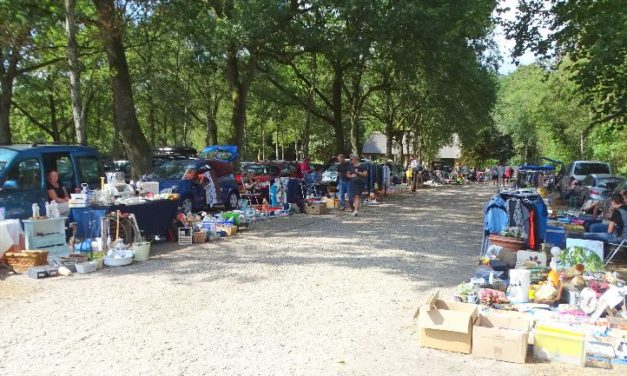 Markt bij Ellert en Brammert is in trek