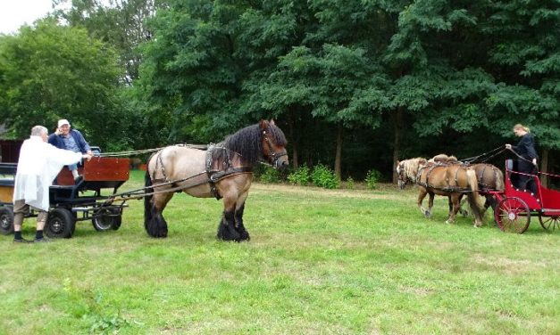 Verkoop en ruilen kaarten Toorn van Thunaer