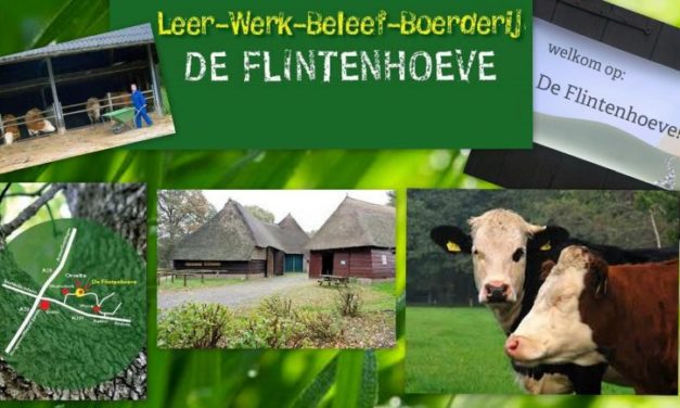 Flintenhoeve houdt open dag