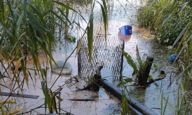 Frituurvet gedumpt in Alte Picardiekanaal