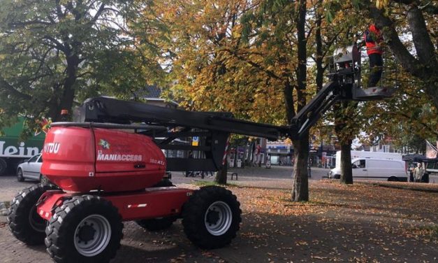 Lampjes verwijderd voor bomenkap