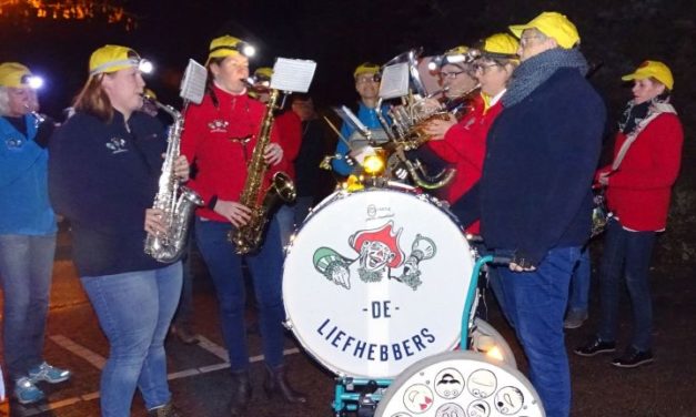 Sint Maartenoptocht staat weer op Daler agenda