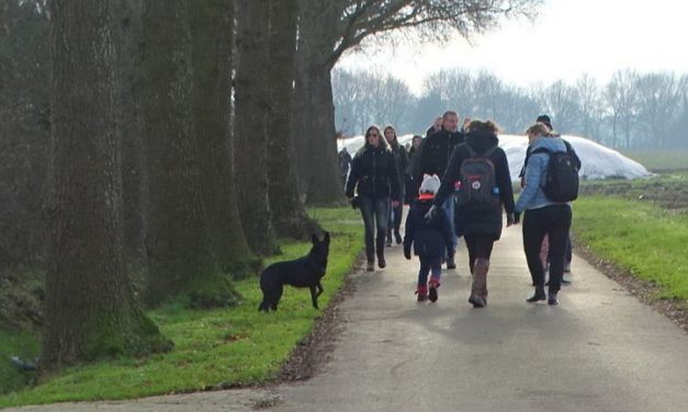 Winterwandeling Voorwaarts afgelast