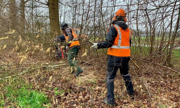 Gemeente aan de slag voor biodiversiteit