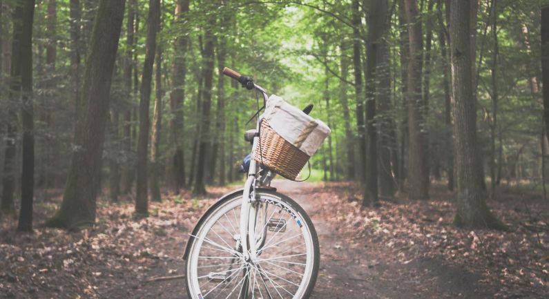 Voorwaarts Sleen houdt fietstocht