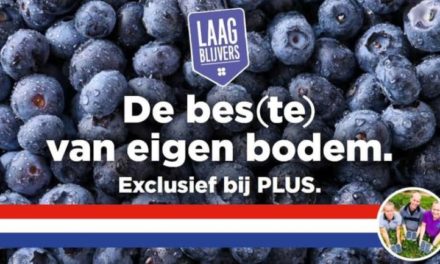 Plus verkoopt bessen van Blauwe Bes Drenthe