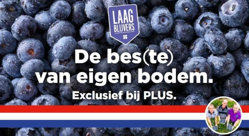 Plus verkoopt bessen van Blauwe Bes Drenthe