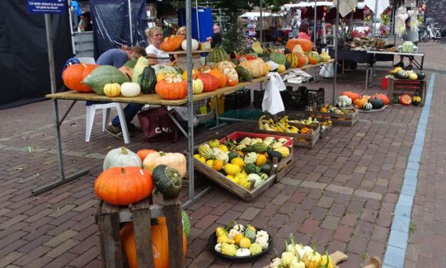 Nog vier Kasteelmarkten in centrum