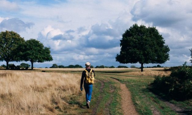 Wandeltocht Gymvereniging Sleen afgelast