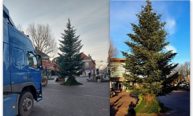 Kerstboom prijkt op de Markt