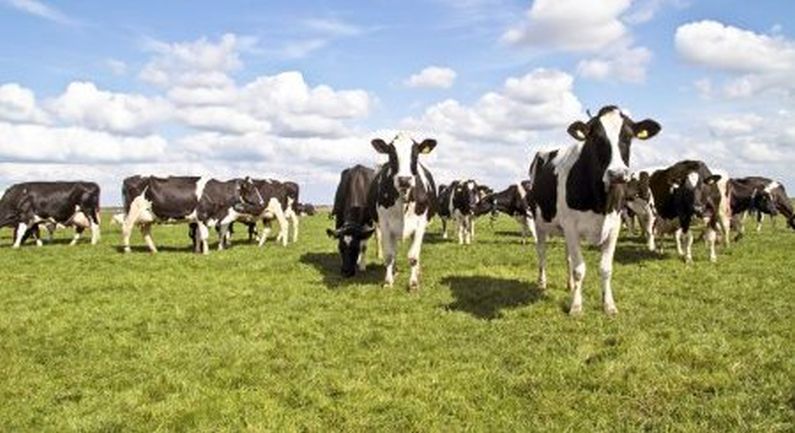 D66 houdt themasessie ‘Landbouw anders’