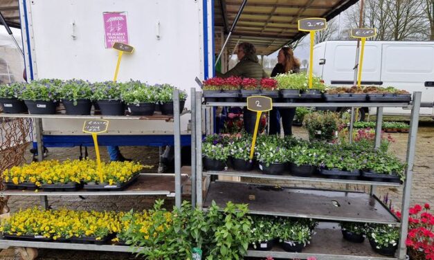 Lentefair Dalerpeel kampt met regenachtig weer