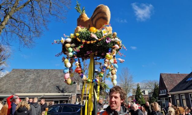 Grote deelname aan Palmhaanoptocht Dalen