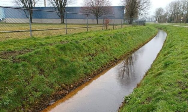 Vervuild water langs de Wethouder J.B. Hemelweg