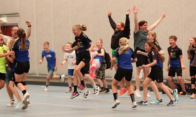 Handbalteams De Woert en De Anwende leveren topprestatie