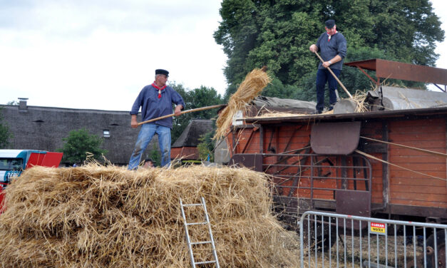 Holthoner Oogstdag op zaterdag 29 juli