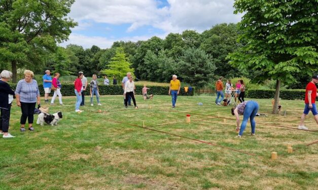 Kubb en muziek zorgden voor sfeer in Daoler Tuun