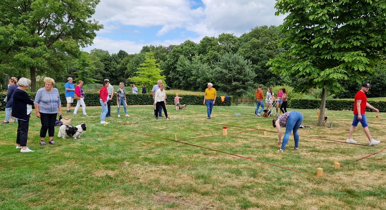 Kubb en muziek zorgden voor sfeer in Daoler Tuun