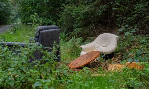 Meubels gedumpt in Boswachterij Gees