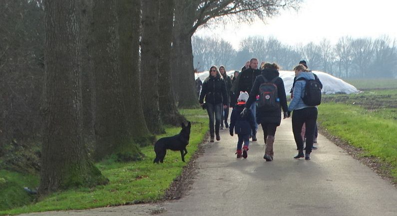 Voorwaarts Sleen houdt winterwandeling