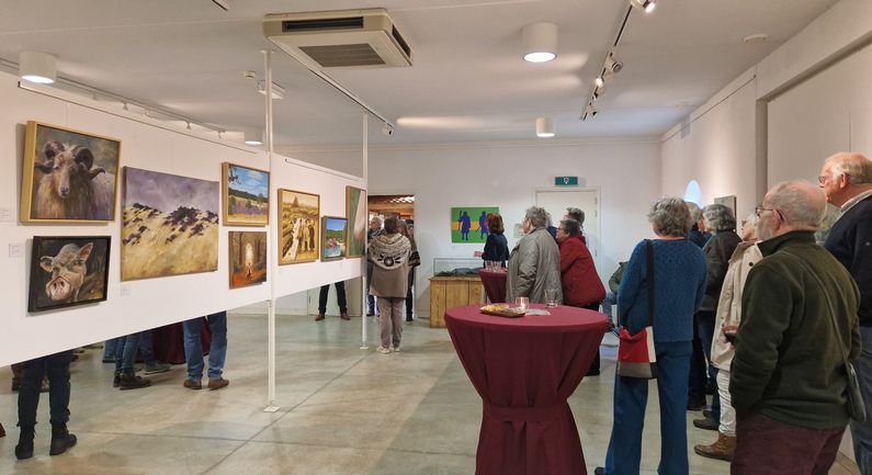 ‘Ode aan Drents landschap’ nieuwe expositie Ellert & Brammert