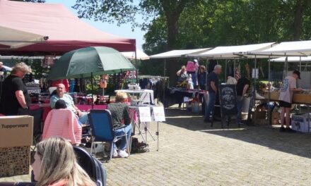 Gezelligheid op markt Dalerpeel