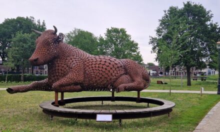 Ahimsa is neergestreken op de Weeshuisweide