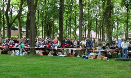 Drukte op rommelmarkt Crescendo