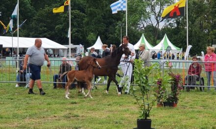 Programma Zuidenveld Coevorden