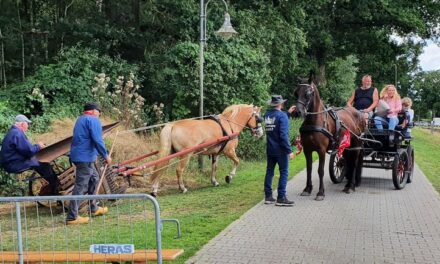 Holthoner Oogstdag op zaterdag 27 juli