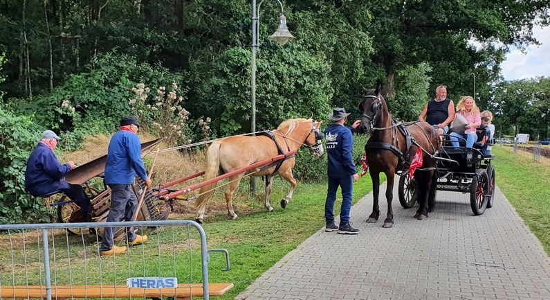 Holthoner Oogstdag op zaterdag 27 juli