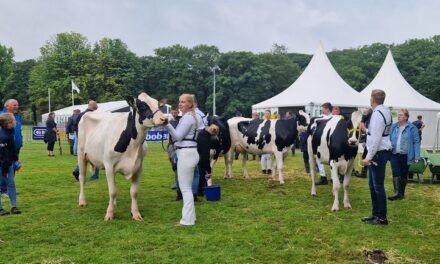 Dalen wint Zuidenveldcompetitie; Oosterhesselen neemt stokje over