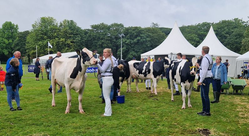 Dalen wint Zuidenveldcompetitie; Oosterhesselen neemt stokje over