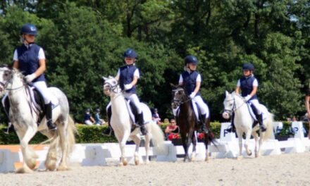 Mooie resultaten Ponyclub De Hullen