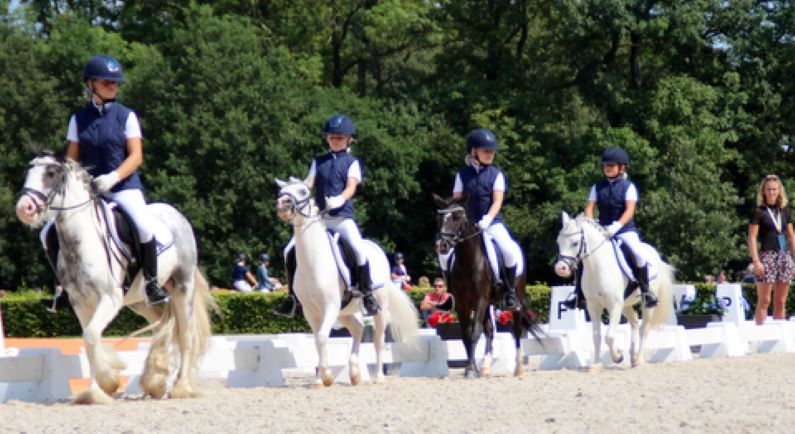 Mooie resultaten Ponyclub De Hullen