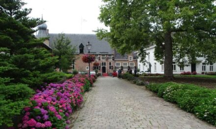 Zomermarkt bij het Kasteel