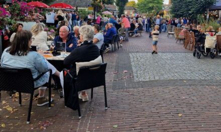 Vrimibo-festival Dalen succes met veel bezoekers