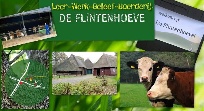 Open dag De Flintenhoeve