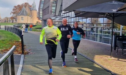 Ganzenloop door de gemeente Coevorden