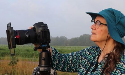 Fotograaf Karin Broekhuijsen: portretschets in beeld (met filmpje)