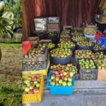 Rotary Coevorden houdt weer fruitpersdag