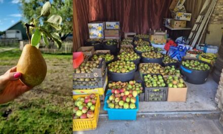 Rotary Coevorden houdt weer fruitpersdag