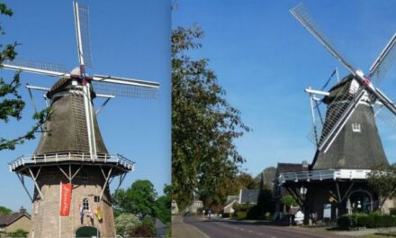 ‘Herfst tussen de molens’ met fotospeurtocht en ondernemersacties