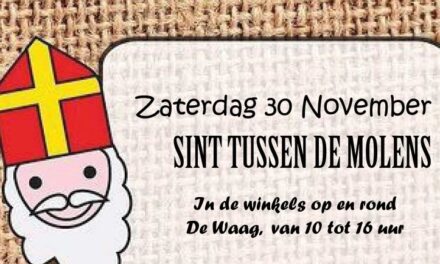 Leuke actie in Dalen: ‘Sint tussen de molens’