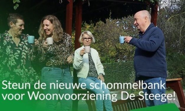 Crowdfunding voor schommelbank De Steege