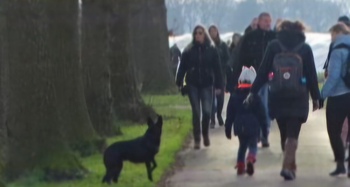 Winterwandeling Voorwaarts Sleen