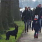 Winterwandeling Voorwaarts Sleen