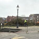 Bomen Markt verplaatst en gekapt